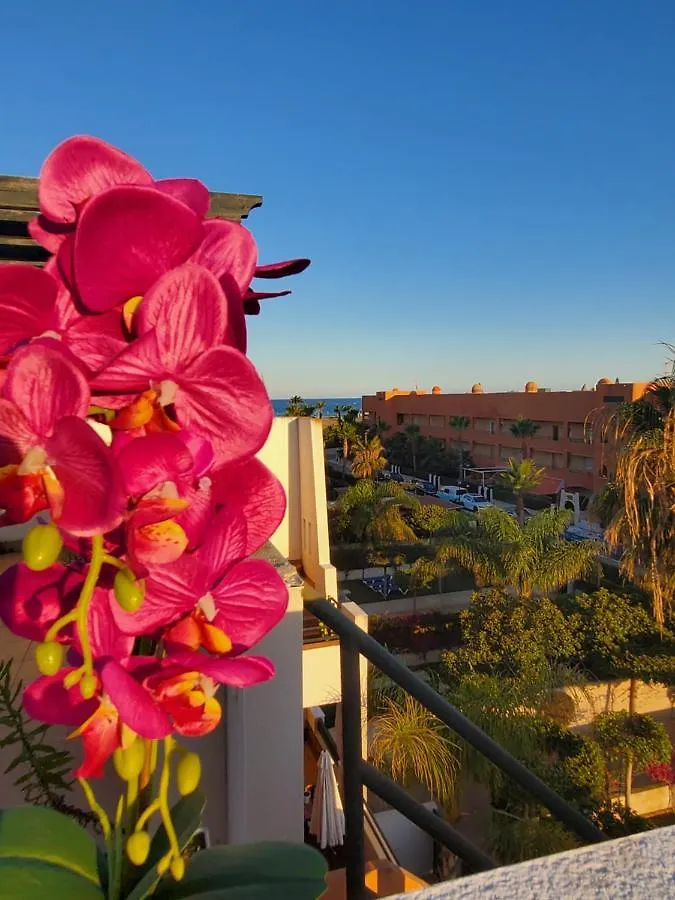 Apartmán Atico Duplex Precioso Con Piscina Privada En Paraiso De Vera! Španělsko
